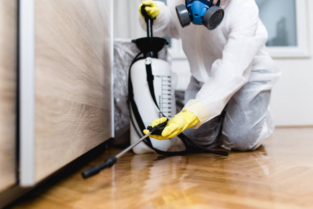 Best Best Pest Control Companies  in Simpsonville, SC