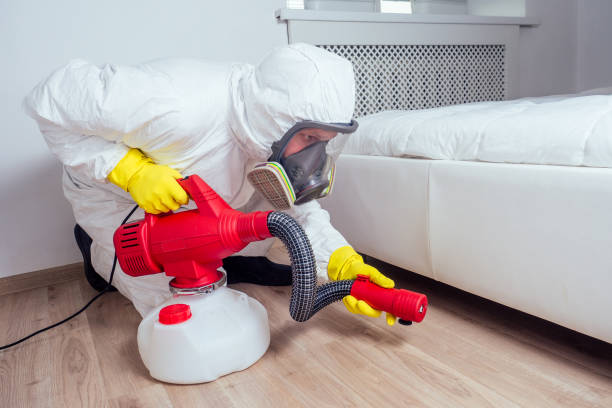 Best Affordable Pest Control Services  in Simpsonville, SC