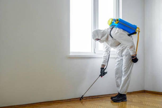 Trusted Simpsonville, SC Pest Control Experts