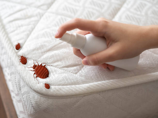 Pest Control Cost in Simpsonville, SC